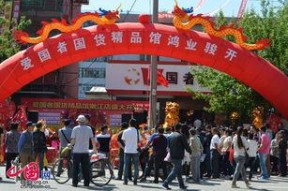 国产精品馆,匠心独运，传承与创新并重的文化瑰宝之旅