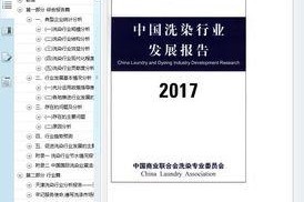 国产104页,深度解析我国科技发展的新篇章